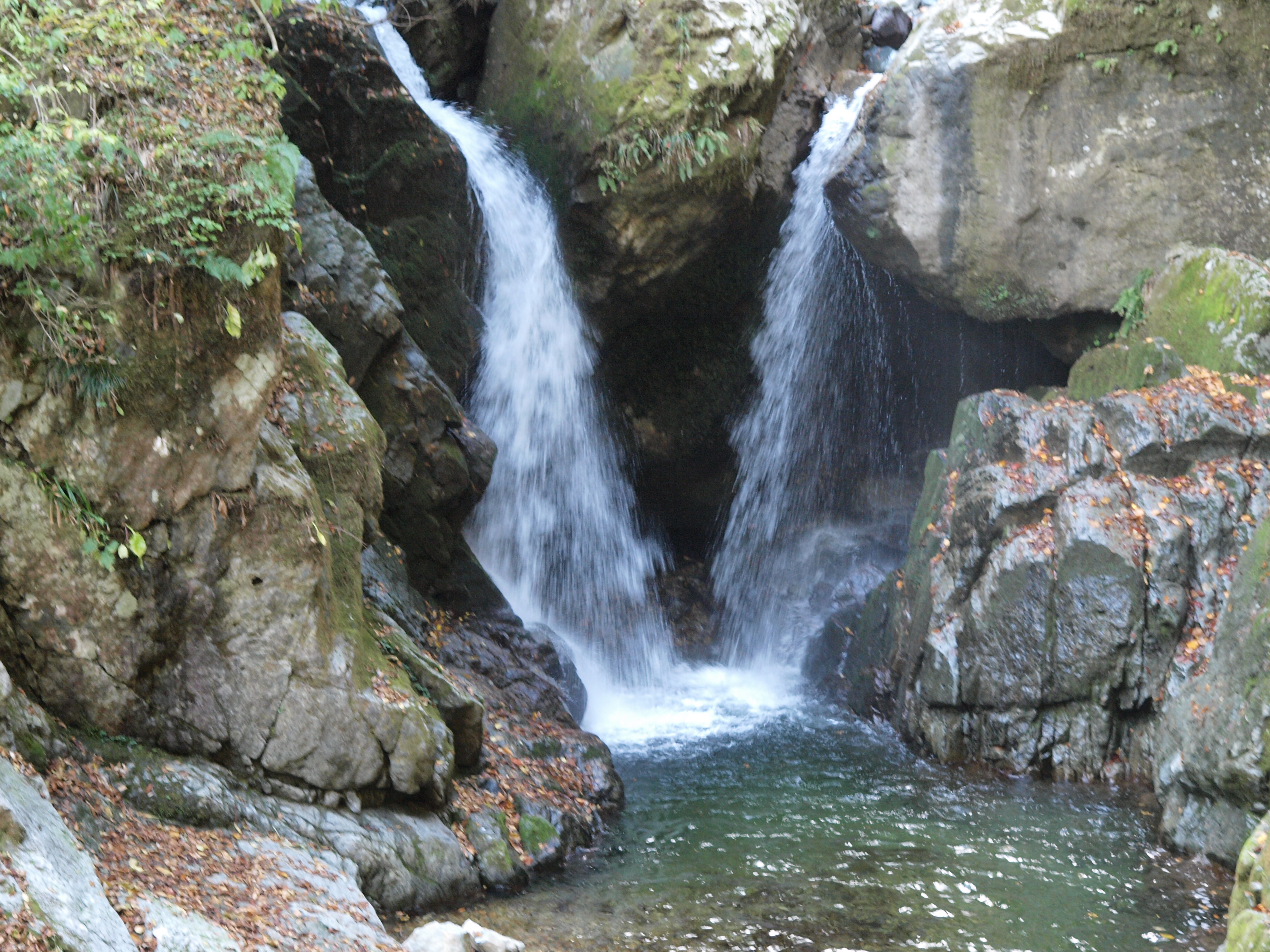 PB084932.JPG