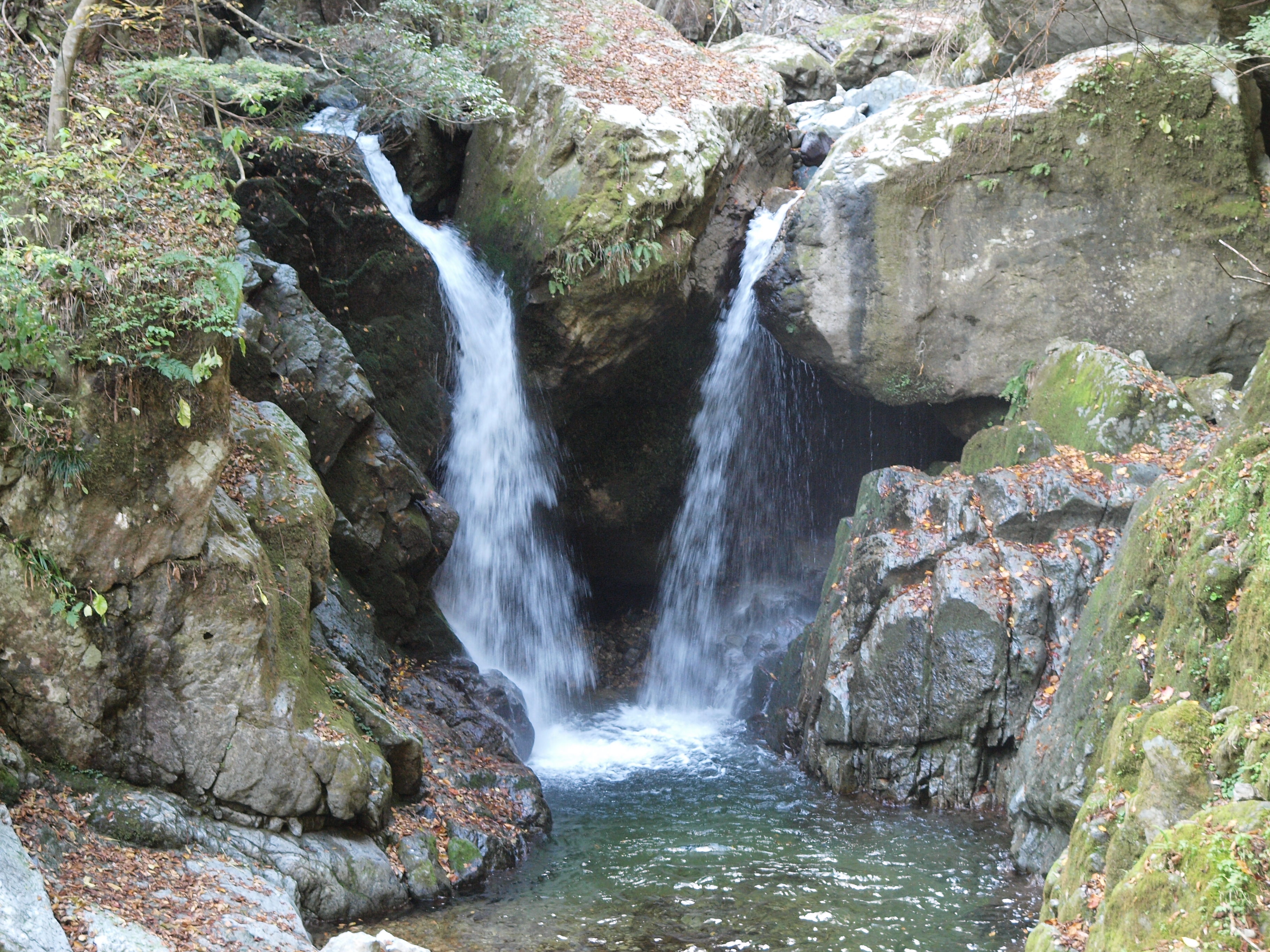 PB084936.JPG