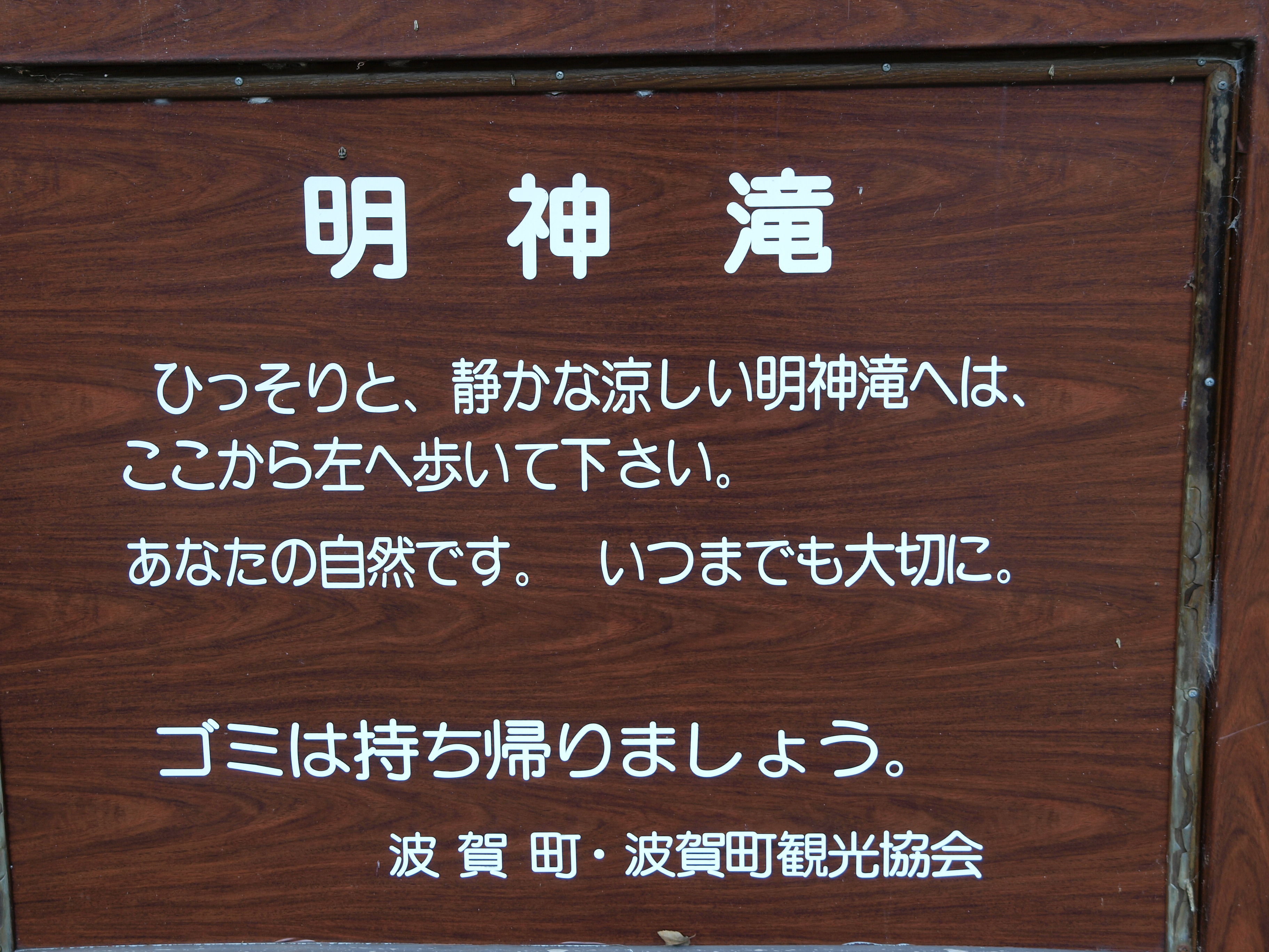 PB084938.JPG