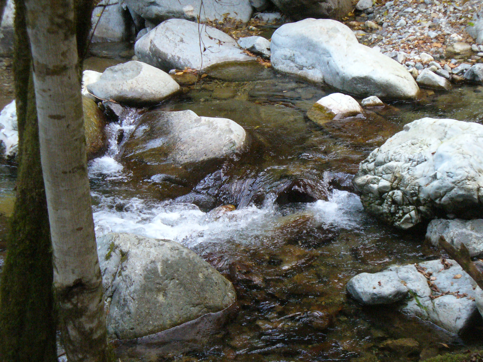 P1130384.JPG