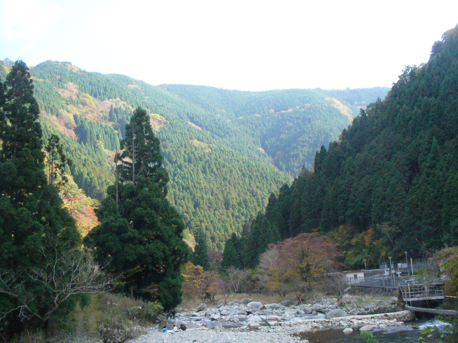 P1130388.JPG