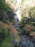 img0011.jpg