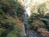 img0012.jpg