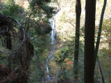 img0015.jpg