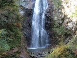 img0024.jpg