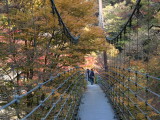 img0026.jpg