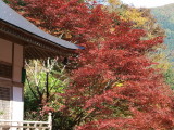 img0028.jpg