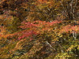 img0034.jpg