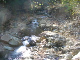 img0045.jpg