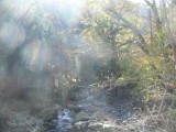 img0046.jpg