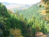 img0048.jpg