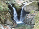 img0060.jpg