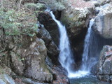 img0063.jpg