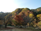 img0066.jpg