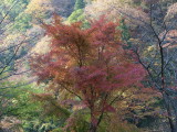 img0067.jpg