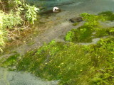 img0023.jpg