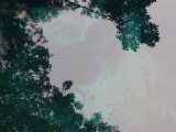 img0025.jpg