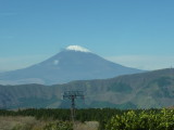 img0061.jpg