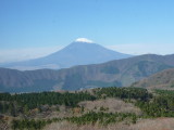 img0064.jpg