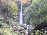 img0002.jpg