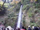 img0005.jpg
