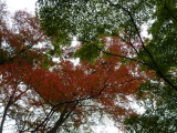 img0013.jpg