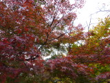 img0026.jpg