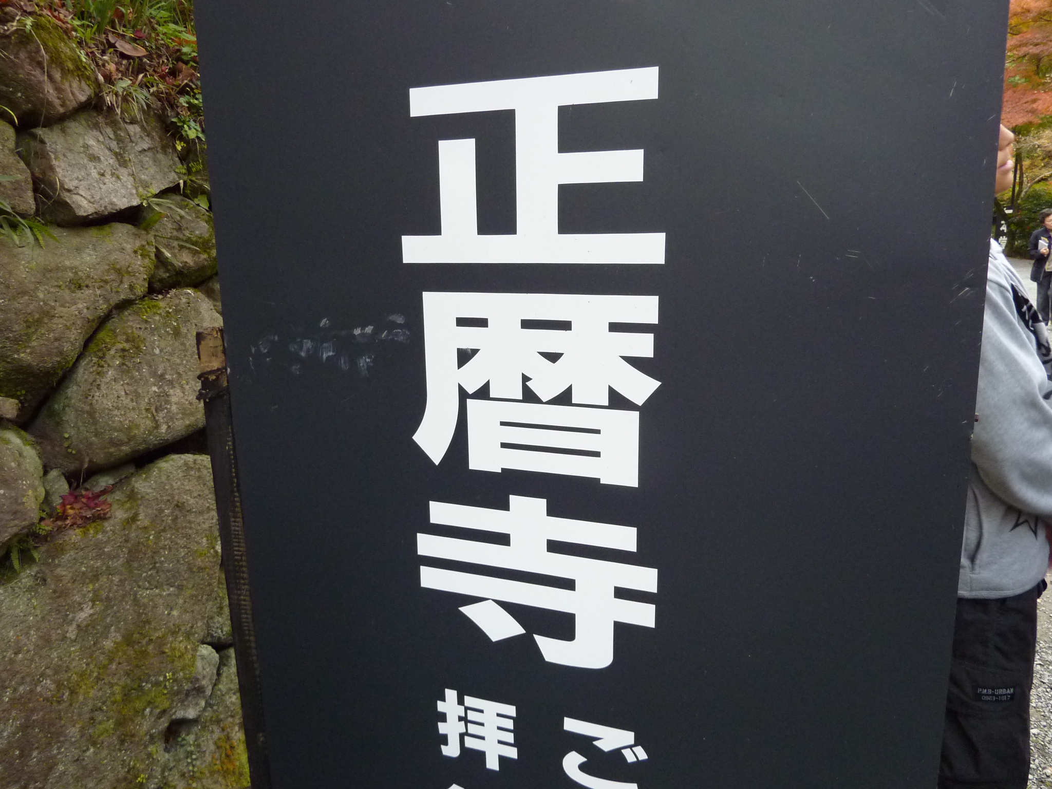 P1000316.JPG