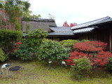 img0010.jpg