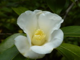 img0011.jpg