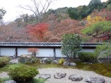 img0039.jpg