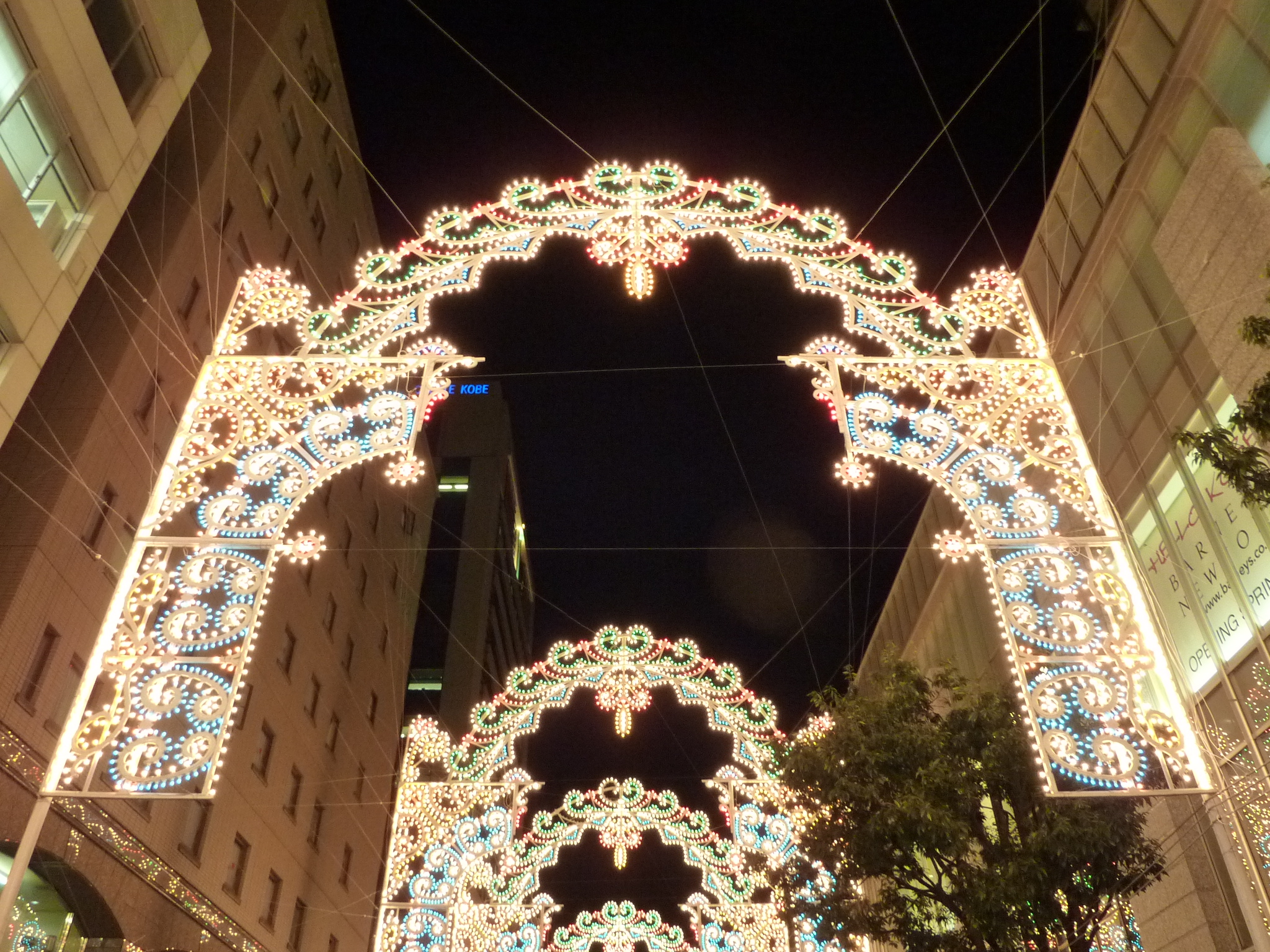P1000326.JPG