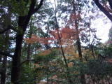 img0016.jpg