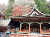 img0067.jpg