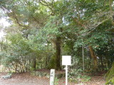 img0029.jpg