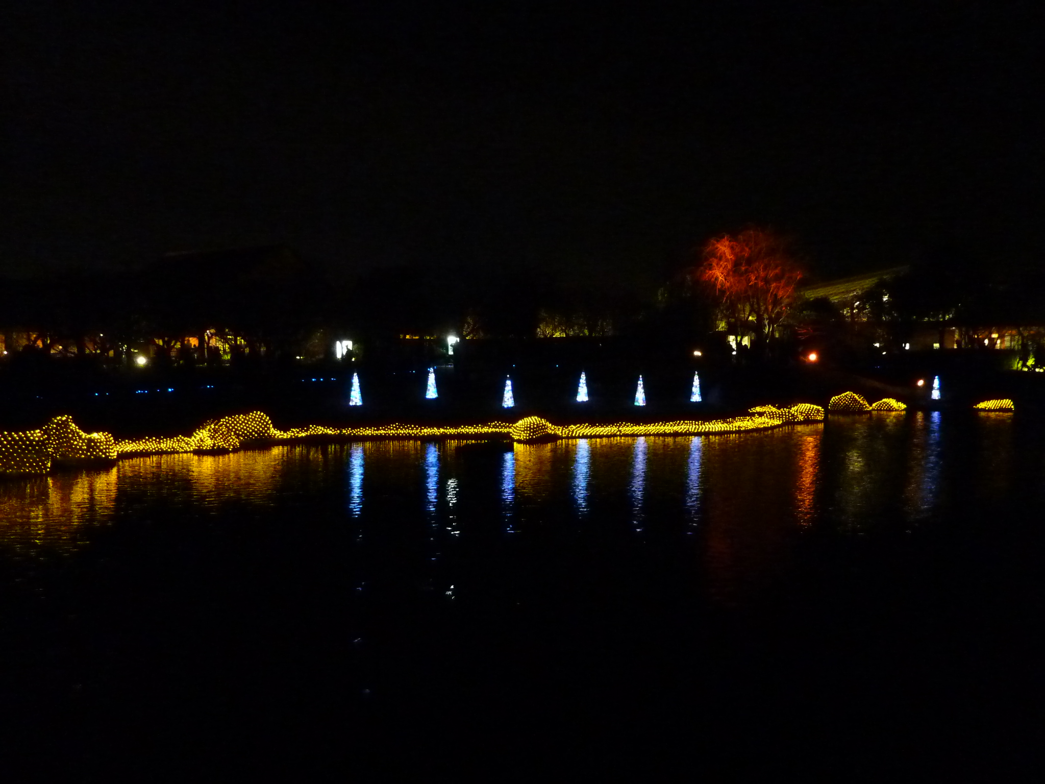 P1000671.JPG