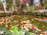 img0026.jpg