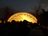 img0043.jpg