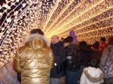 img0050.jpg