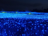 img0054.jpg