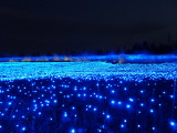 img0060.jpg