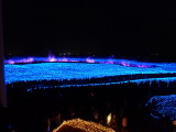 img0068.jpg