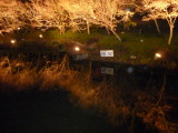 img0082.jpg