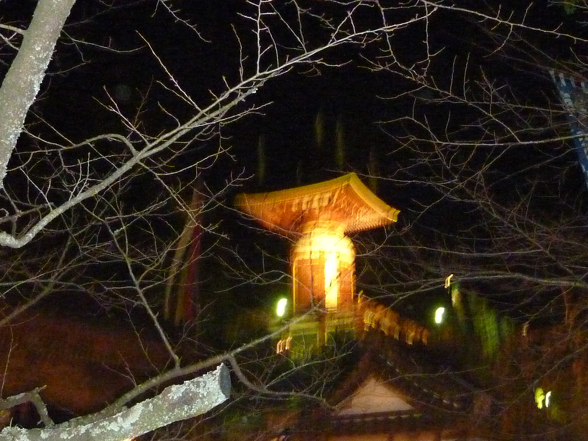 P1000717.JPG