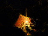 img0021.jpg