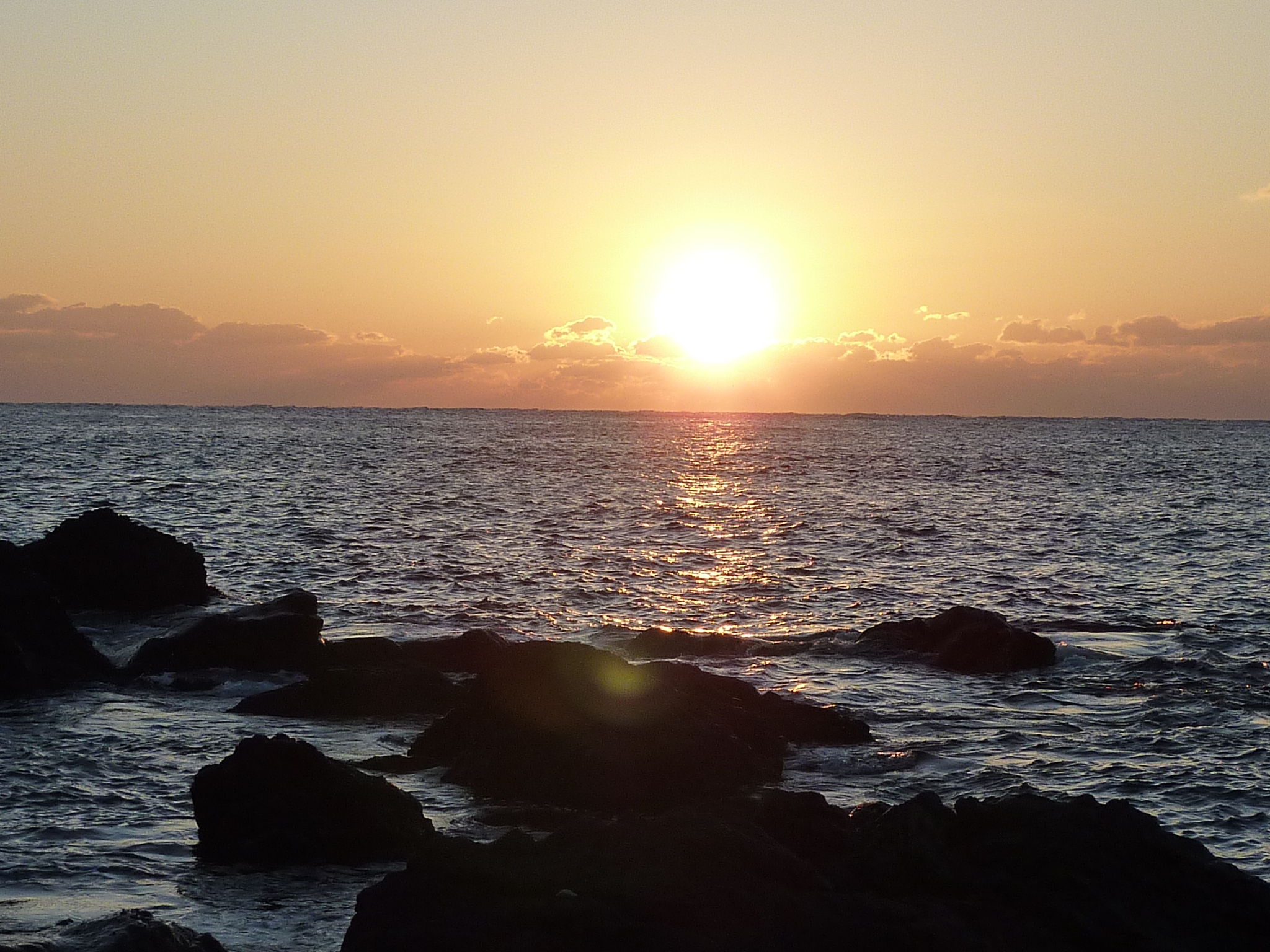 P1000790.JPG