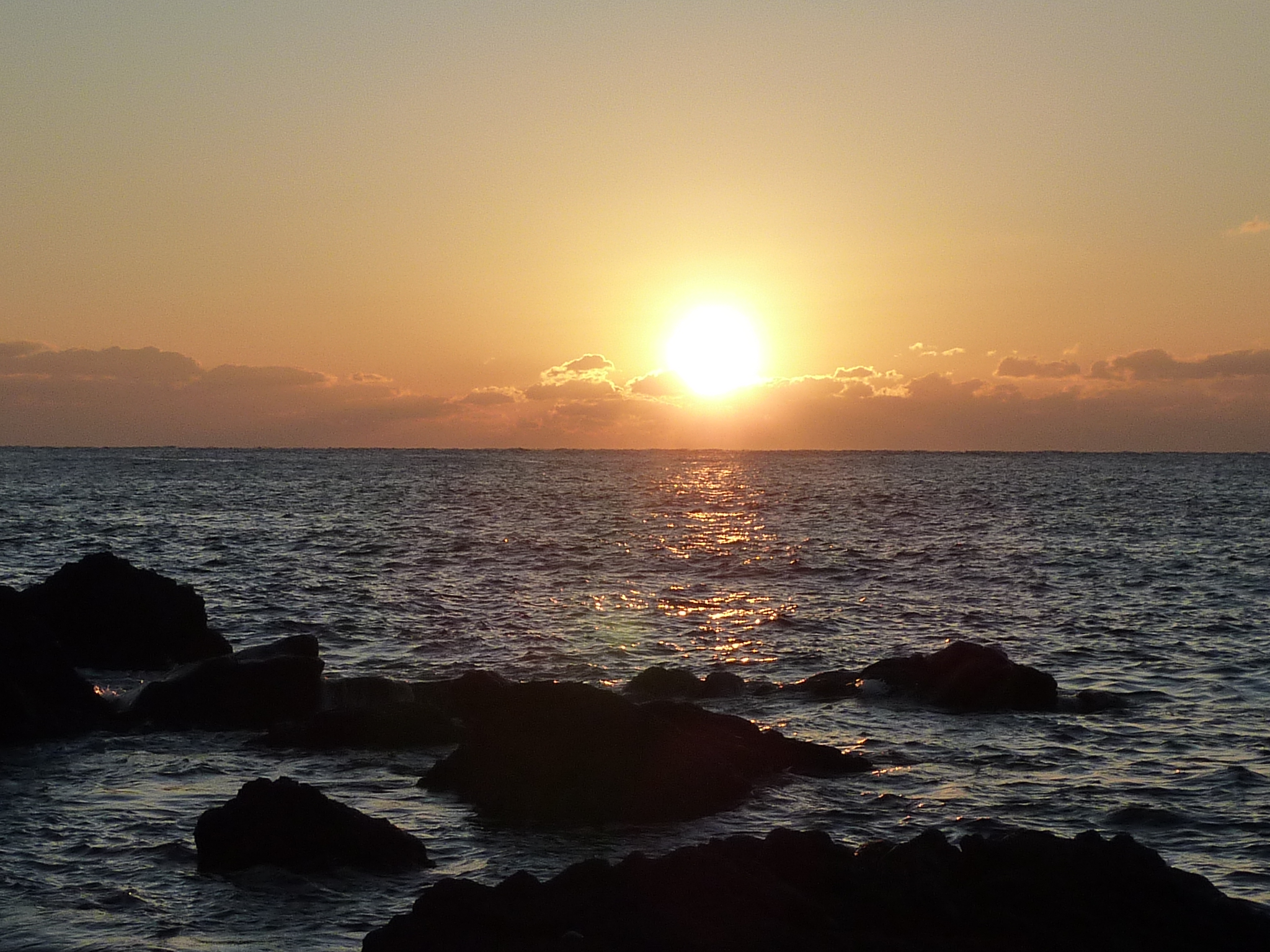 P1000793.JPG