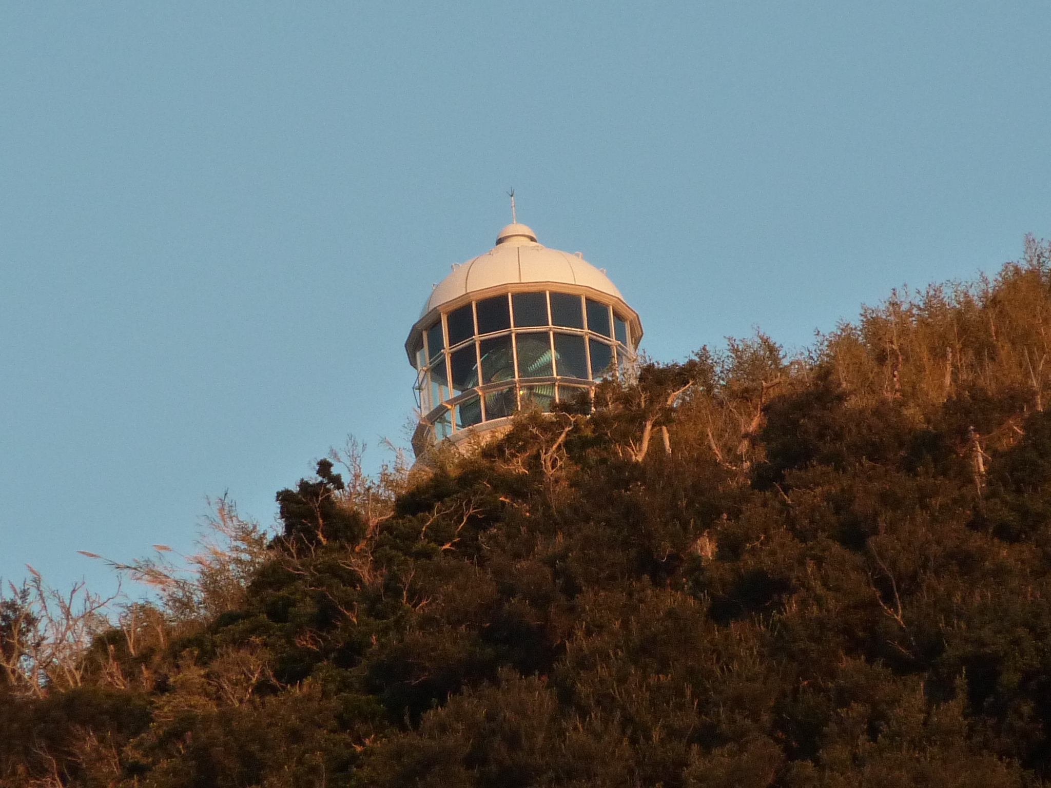 P1000801.JPG