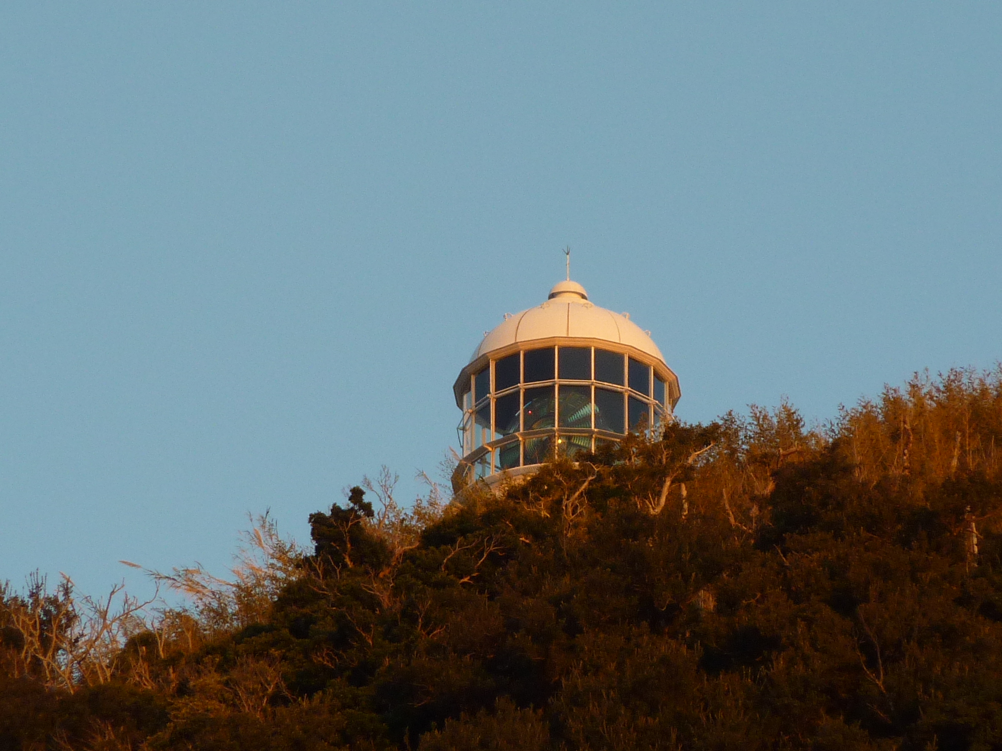 P1000802.JPG
