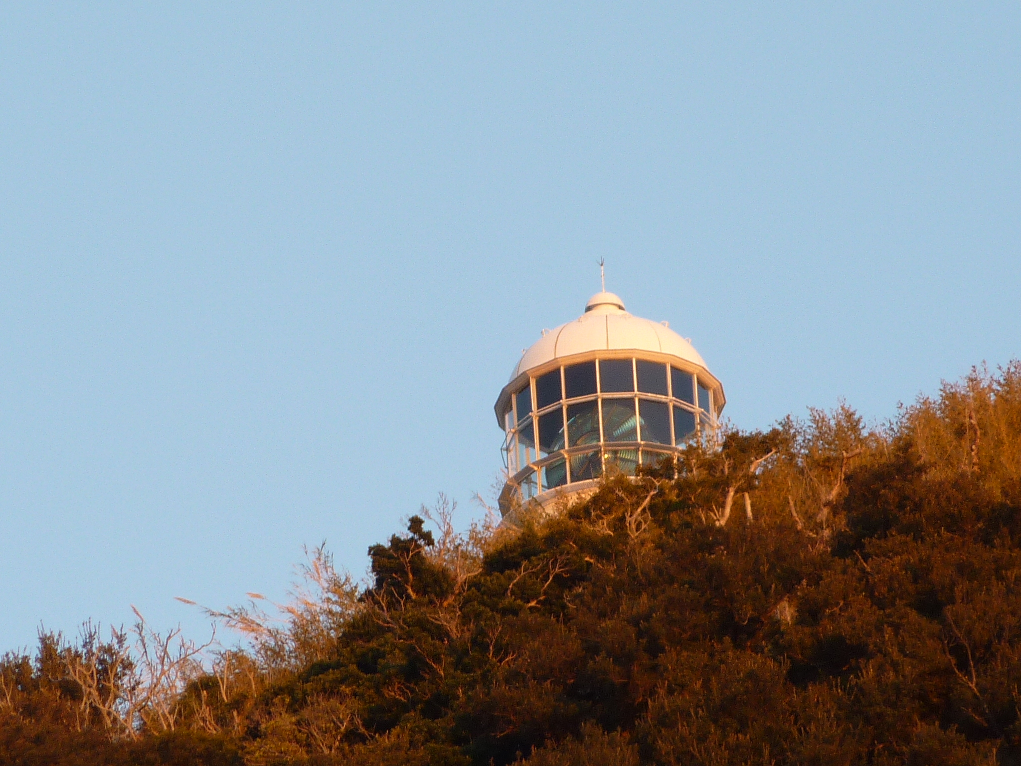 P1000803.JPG